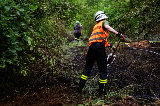Waldbrand bei Weiterstadt Am 29.05.2026 ist in Weiterstadt-Gräfenhausen westlich der Autobahn A5 ein Waldbrand ausgebrochen. Betroffen war eine rund 900 Quadratmeter große Waldfläche zwischen der Raststätte Gräfenhausen West und dem angrenzenden Steinrodsee. 106 Einsatzkräfte mit 20 Löschfahrzeugen waren vor Ort. Die Feuerwehr brachte den Brand unter Kontrolle und verhinderte eine Ausdehnung auf angrenzende Waldbereiche. Die Nachlöscharbeiten dauerten bis in die Abendstunden an. Weiterstadt Gräfenhausen Hessen Deutschland *** Forest fire near Weiterstadt On 29 05 2026, a forest fire broke out in Weiterstadt Gräfenhausen west of the A5 freeway It affected a forest area of around 900 square meters between the Gräfenhausen West servic