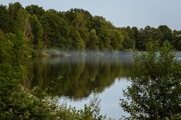Waldbrand bei Weiterstadt Am 29.05.2026 ist in Weiterstadt-Gräfenhausen westlich der Autobahn A5 ein Waldbrand ausgebrochen. Betroffen war eine rund 900 Quadratmeter große Waldfläche zwischen der Raststätte Gräfenhausen West und dem angrenzenden Steinrodsee. 106 Einsatzkräfte mit 20 Löschfahrzeugen waren vor Ort. Die Feuerwehr brachte den Brand unter Kontrolle und verhinderte eine Ausdehnung auf angrenzende Waldbereiche. Die Nachlöscharbeiten dauerten bis in die Abendstunden an. Weiterstadt Gräfenhausen Hessen Deutschland *** Forest fire near Weiterstadt On 29 05 2026, a forest fire broke out in Weiterstadt Gräfenhausen west of the A5 freeway It affected a forest area of around 900 square meters between the Gräfenhausen West servic