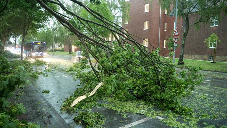 Eine heftige Gewitterfront wütete am Abend in Rheine. Die Kreisstadt versank nach sinnflutartigen Regenfällen, Orkanböen und Hagel im Unwetterchaos. In der Stadt herrscht seit 19 Uhr Ausnahmezustand. Zahlreiche Bäume sind umgestürzt und legen den Verkehr lahm. Ampeln sind auf Grund von Blitzschlägen ausgefallen. Zahlreiche Straßenzüge stehen unter Wasser. Ein Autofahrer versank mit seinem Wagen auf der Bahnhofstraße in den Fluten. Einige Menschen und auch Kinder unterschätzten die Gefahr und wollten die Unterführung durchqueren. Die Polizei schritt ein. Autos mussten abgeschleppt werden, da sie einen Wasserschaden erlitten. Die Feuerwehr kommt aktuell nicht hinterher. Bis in den Samstag hinein müssen die Schäden beseitigt werde
