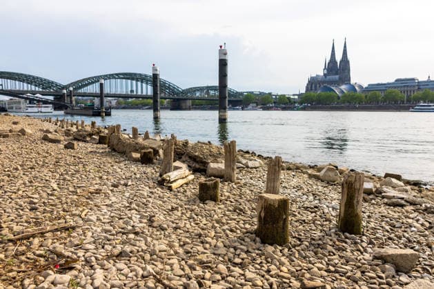 Niedrigwasser in Köln 29.05.2026 Niedrigwasser am Rhein in Köln-Deutz: Bei einem Rheinpegel von 148 cm am Pegel Köln sind am rechtsrheinischen Ufer Kiesflächen und alte Holzpfähle freigelegt. Die Holzpfähle werden bei Niedrigwasser sichtbar; ihre genaue historische Zuordnung gilt als nicht eindeutig. Im Hintergrund sind der Kölner Dom und die Hohenzollernbrücke zu sehen. Köln Deutz Nordrhein-Westfalen Deutschland *** Low water in Cologne 29 05 2026 Low water on the Rhine in Cologne Deutz At a Rhine level of 148 cm at the Cologne gauge, gravel areas and old wooden piles are exposed on the right bank of the Rhine The wooden piles become visible at low water their exact historical classification is not clear Cologne Cathedral and the Copyright: xMarcxJohnx