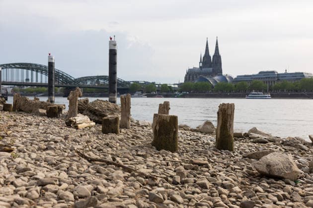 Niedrigwasser in Köln 29.05.2026 Niedrigwasser am Rhein in Köln-Deutz: Bei einem Rheinpegel von 148 cm am Pegel Köln sind am rechtsrheinischen Ufer Kiesflächen und alte Holzpfähle freigelegt. Die Holzpfähle werden bei Niedrigwasser sichtbar; ihre genaue historische Zuordnung gilt als nicht eindeutig. Im Hintergrund sind der Kölner Dom und die Hohenzollernbrücke zu sehen. Köln Deutz Nordrhein-Westfalen Deutschland *** Low water in Cologne 29 05 2026 Low water on the Rhine in Cologne Deutz At a Rhine level of 148 cm at the Cologne gauge, gravel areas and old wooden piles are exposed on the right bank of the Rhine The wooden piles become visible at low water their exact historical classification is not clear Cologne Cathedral and the Copyright: xMarcxJohnx