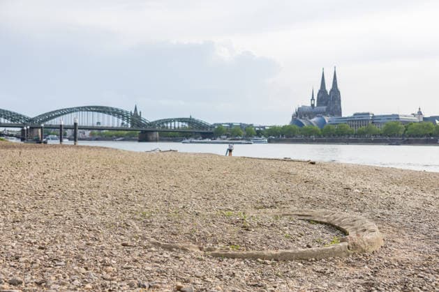 Niedrigwasser in Köln 29.05.2026 Niedrigwasser am Rhein in Köln-Deutz: Bei einem Rheinpegel von 148 cm am Pegel Köln ist das rechtsrheinische Ufer großflächig trockengefallen. Der niedrige Wasserstand legt Kies- und Sandflächen frei; im Hintergrund sind der Kölner Dom und die Hohenzollernbrücke zu sehen. Köln Deutz Nordrhein-Westfalen Deutschland *** Low water in Cologne 29 05 2026 Low water on the Rhine in Cologne Deutz At a Rhine level of 148 cm at the Cologne gauge, the right bank of the Rhine has dried out over a large area The low water level exposes gravel and sand areas Cologne Cathedral and the Hohenzollern Bridge can be seen in the background Cologne Deutz North Rhine-Westphalia Germany Copyright: xMarcxJohnx