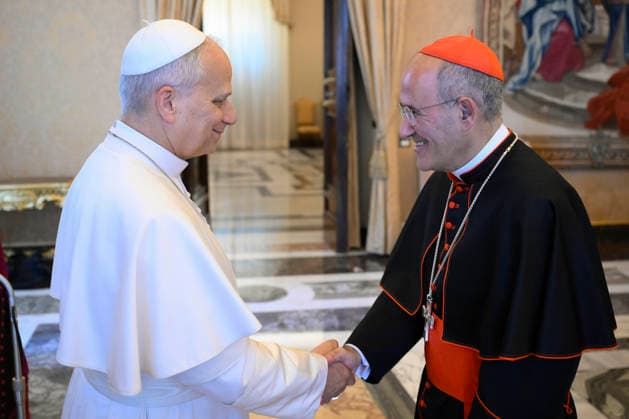 ITALY- REL VATICAN -POPE LEO XVI RECEIVES IN AUDIENCE THE PARTICIPANTS IN THE INTERNATIONAL CONFERENCE ON MENTAL HEALTH EDUCATION May 30, 2026 ITALY REL -May 30, 2026 Pope Leo receives in audience the participants in the international conference on Mental Health Education EDITORIAL USE ONLY - NO BOOKS Copyright: xVATICANxMEDIAx xCatholicxPressxPhotox