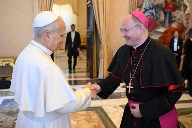ITALY- REL VATICAN -POPE LEO XVI RECEIVES IN AUDIENCE THE PARTICIPANTS IN THE INTERNATIONAL CONFERENCE ON MENTAL HEALTH EDUCATION May 30, 2026 ITALY REL -May 30, 2026 Pope Leo receives in audience the participants in the international conference on Mental Health Education EDITORIAL USE ONLY - NO BOOKS Copyright: xVATICANxMEDIAx xCatholicxPressxPhotox