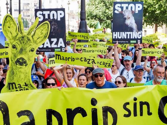 News Bilder des Tages May 30, 2026, Madrid, Madrid, Spain: MADRID, SPAIN - MAY 30: Animal rights groups march through the center of Madrid to Puerta del Sol, demanding an end to hunting practices in Spain. Madrid Spain  - ZUMAh199 20260530_zip_h199_005 Copyright: xAaronxHerediax