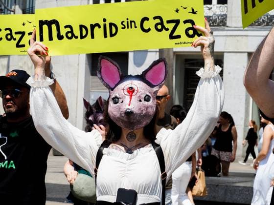May 30, 2026, Madrid, Madrid, Spain: MADRID, SPAIN - MAY 30: Animal rights groups march through the center of Madrid to Puerta del Sol, demanding an end to hunting practices in Spain. Madrid Spain - ZUMAh199 20260530_zip_h199_007 Copyright: xAaronxHerediax