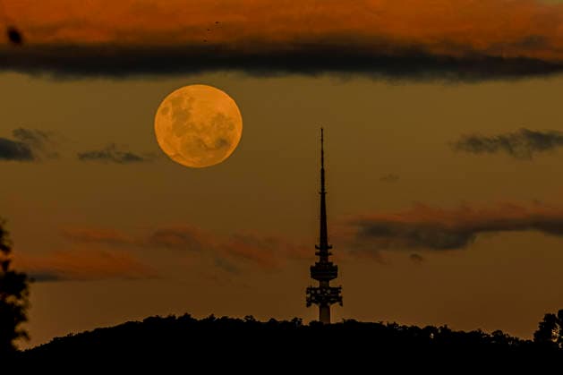 (260531) -- CANBERRA, May 31, 2026 -- The full moon, known as the Blue Moon, is seen behind the Telstra Tower on the Black Mountain in Canberra, Australia, on May 31, 2026. ) AUSTRALIA-CANBERRA-BLUE MOON ChuxChen 