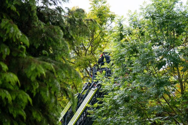 Sturmböen nach Gewitterfront: Feuerwehr verhindert Baumsturz auf Wohnhaus in Ingelheim-Heidesheim Am Sonntag, dem 31.05.2026, sorgte eine markante Gewitterfront in Rheinhessen für zahlreiche Einsätze von Feuerwehr und Rettungsdienst. Im Ingelheimer Stadtteil Heidesheim drohte in der Oberdorfstraße ein durch starken Schädlingsbefall geschädigter Baum auf ein Wohngebäude zu stürzen. Nachdem bereits größere Äste herabgestürzt waren, alarmierte die Feuerwehr zusätzliche Einsatzkräfte sowie Kettensägenführer. Über eine Drehleiter wurden Teile der Baumkrone entfernt, um die Standfestigkeit des Baumes wiederherzustellen und eine Gefährdung angrenzender Wohnhäuser zu verhindern. Die Maßnahmen standen im Zusammenhang mit den stü