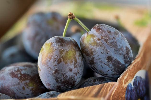IMAGO Creative, Jahreszeit Sommer, Food, Pflaume pflaume,pflaumen,quetsche,quetschen,zwetsche,zwetschen,zwetschge,zwetschgen,zwetschke,zwetschken ** plum,plums 2yo-hnu