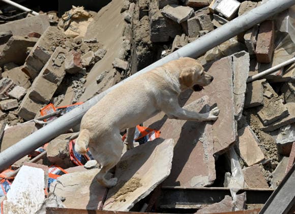 NEW DELHI, INDIA - JUNE 2: NDRF team conducts a search and rescue operation as a building collapsed after the cylinder blast in Mukundpur, Burari, on June 2, 2026 in New Delhi, India. Neighbours and officials alleged that a large number of cylinders were being stored illegally inside the house where the blast occurred. (Photo by Ishant Chauhan Hindustan Times ) House Collapses After Cylinder Blast In Delhi™s Mukundpur, People Feared Trapped Under Debris