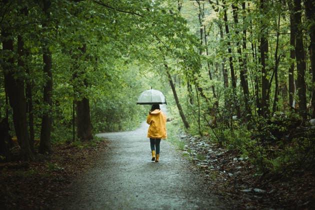 wald,spaziergang,regenwetter,wälder,spazieren,spazierengehen,spaziergänger,spaziergängerin,spaziergängerinnen,regen,regnen,regnerisch,schlechtes wetter,verregnet ** forest,walk,rain weather,forests,wood,woodland,woods,walks,rain weathers,rainy 539-stw ,model released, Symbolfoto
