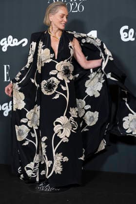 Sharon Stone at the photocall for the Elle Style Awards 2026 at the Casino de Madrid - 02 Jun 2026 American actress Sharon Stone attends the photocall for the Elle Style Awards 2026 at the Casino de Madrid. Madrid Spain Copyright: xAtilanoxGarciax xSOPAxImagesx photos21073