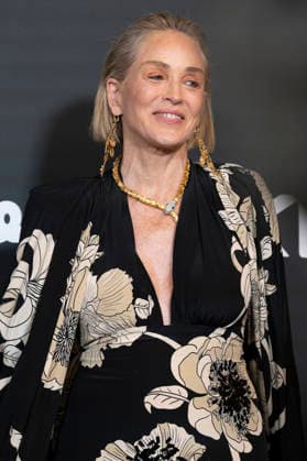 June 2, 2026, Madrid, Spain: American actress Sharon Stone attends the photocall for the Elle Style Awards 2026 at the Casino de Madrid. Madrid Spain  - ZUMAs197 20260602_aaa_s197_165 Copyright: xAtilanoxGarciax