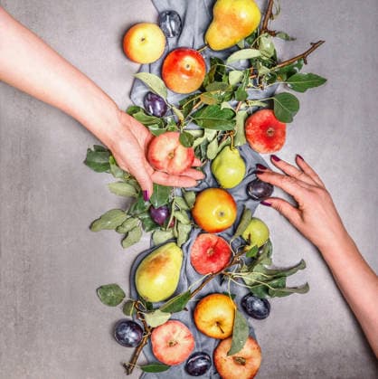 IMAGO Creative, Jahreszeit Sommer, Food, Pflaume gesunde ernährung,obst,bewusste ernährung,ernährung,frucht,früchte ** healthy diet,fruit,healthy,healthy food,low fat,fruits 61z-g4o