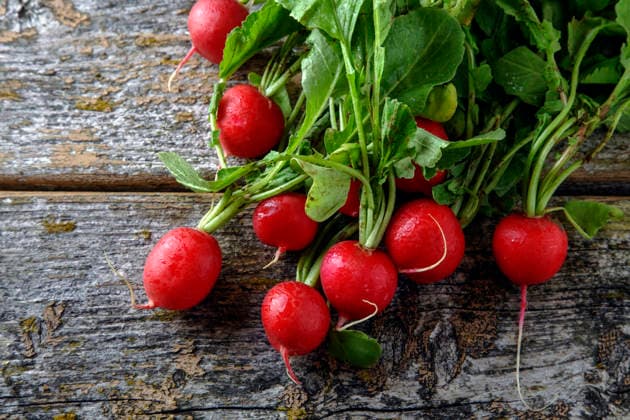 IMAGO Creative, Sommer, Food, Radieschen radieschen ** radish,radishs 647-frx