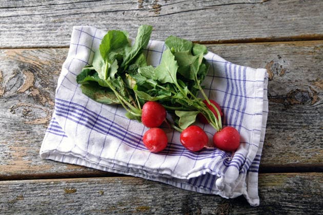 IMAGO Creative, Sommer, Food, Radieschen radieschen ** radish,radishs 647-fs2
