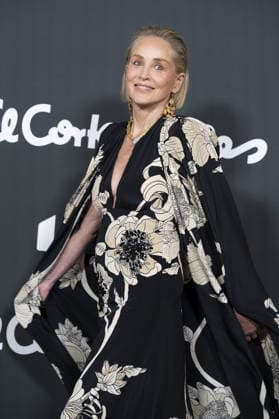 Sharon Stone American actress Sharon Stone attends the photocall for the Elle Style Awards 2026 at the Casino de Madrid on June 2, 2026, Spain Featuring: American actress Sharon Stone attends the photocall for the Elle Style Awards 2026 at the Casino de Madrid on June 2, 2026, Spain. Where: Madrid, Spain When: 02 Jun 2026 Credit: Oscar Gonzalez WENN Madrid Spain Copyright: xOscarxGonzalez WENNx wenn41377930 OFA ZOJx wenn41377930