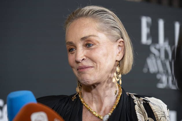 Sharon Stone American actress Sharon Stone attends the photocall for the Elle Style Awards 2026 at the Casino de Madrid on June 2, 2026, Spain Featuring: American actress Sharon Stone attends the photocall for the Elle Style Awards 2026 at the Casino de Madrid on June 2, 2026, Spain. Where: Madrid, Spain When: 02 Jun 2026 Credit: Oscar Gonzalez WENN Madrid Spain Copyright: xOscarxGonzalez WENNx wenn41377951 OFA ZOJx wenn41377951