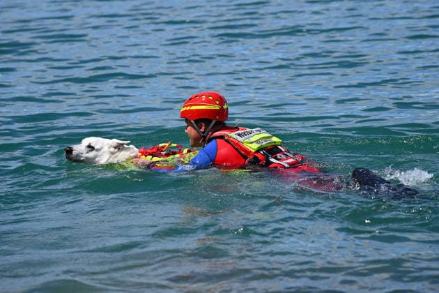 Wasserwacht praesentiert eine Rettungsuebung mit einem speziell trainierten Wasserrettungshund. Retter und Diensthund im Wasser. Bergung DLRG stellt ihre Schnell-Einsatz-Gruppe fuer Rettungseinsaetze auf dem Wasser vor. Die Bayerische Sicherheit am und im Wasser: Bayerns Innenminister Joachim Herrmann gibt Startschuss für Social-Media-Kampagne - DLRG und Wasserwacht demonstrieren Schutz- und Rettungsmassnahmen am 03.06.2026 am Langwieder See. *** Water rescue service presents a rescue exercise with a specially trained water rescue dog Rescuers and service dog in the water Rescue DLRG presents its rapid intervention group for rescue operations on the water Bavarian safety on and in the water Bavarias Minister of the Interior Joachim He