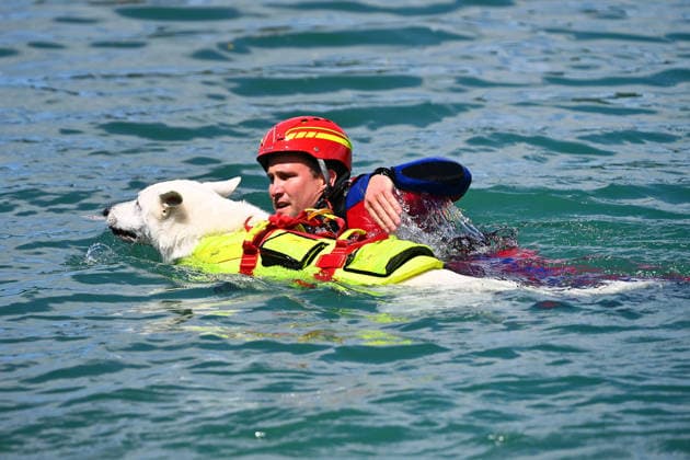 Wasserwacht praesentiert eine Rettungsuebung mit einem speziell trainierten Wasserrettungshund. Retter und Diensthund im Wasser, DLRG stellt ihre Schnell-Einsatz-Gruppe fuer Rettungseinsaetze auf dem Wasser vor. Die Bayerische Sicherheit am und im Wasser: Bayerns Innenminister Joachim Herrmann gibt Startschuss für Social-Media-Kampagne - DLRG und Wasserwacht demonstrieren Schutz- und Rettungsmassnahmen am 03.06.2026 am Langwieder See. *** Water rescue service presents a rescue exercise with a specially trained water rescue dog Rescuer and service dog in the water, DLRG presents its rapid intervention group for rescue operations on the water Bavarian safety on and in the water Bavarias Minister of the Interior Joachim Herrmann gives the