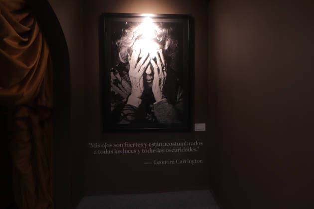 Leonora Carrington ˜Magic Labyrinth™ Exhibition A portrait of Leonora Carrington is seen during a tour of the immersive exhibition Magic Labyrinth by Leonora Carrington. on June 3, 2026 in Mexico City, Mexico. (Photo by Carlos Santiago Eyepix Group) Copyright: xCarlosxSantiago xEyepixxGroupx CS_03062026_185761