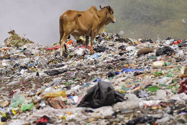RECORD DATE NOT STATED Garbage Dump On Outskirts Of Pushkar - India Garbage dump on the Outskirts of Pushkar in the Indian state of Rajasthan on June 04, 2026. Photo by Himanshu Sharma ABACAPRESS.COM India  Copyright: xHimanshuxSharma ABACAx