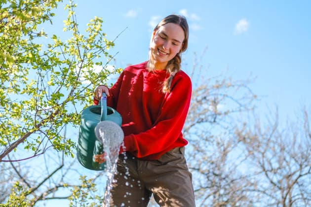 Smiling gardener in red sweatshirt watering outdoor garden model released, Symbolfoto property released, TSF00859