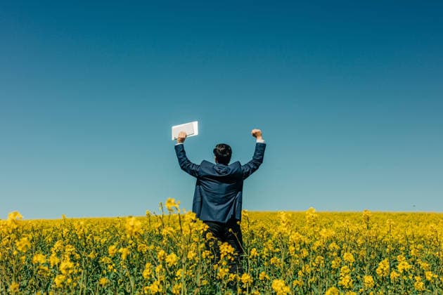Businessman with laptop celebrating success in a yellow field model released, Symbolfoto, VSNF04871