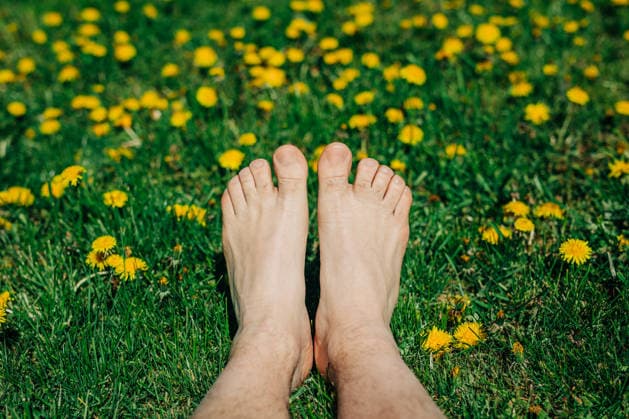 Bare feet resting on green grass with blooming yellow dandelions model released, Symbolfoto, VSNF04878