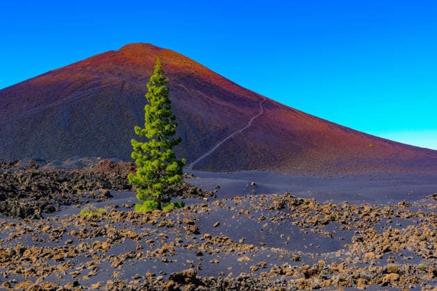 Las Manchas, Santa Cruz, Tenerife, Canary Islands, Spain Hiking trail, Arenas Negras, Garachio Volcano and Chinyero Here the Chinyero Volcano Las Manchas Tenerife Spain