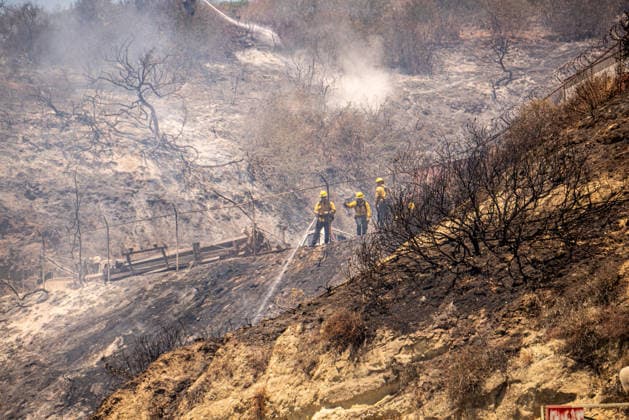 June 8, 2026, Oceanside, California, USA: Fire crews extinguish a brushfire off Benet Rd. in Oceanside in Southern California. The Airport Fire temporarily placed evacuations order for nearby residents and businesses. Oceanside USA - ZUMAg219 20260608_znp_g219_007 Copyright: xJakexLeexGreenx