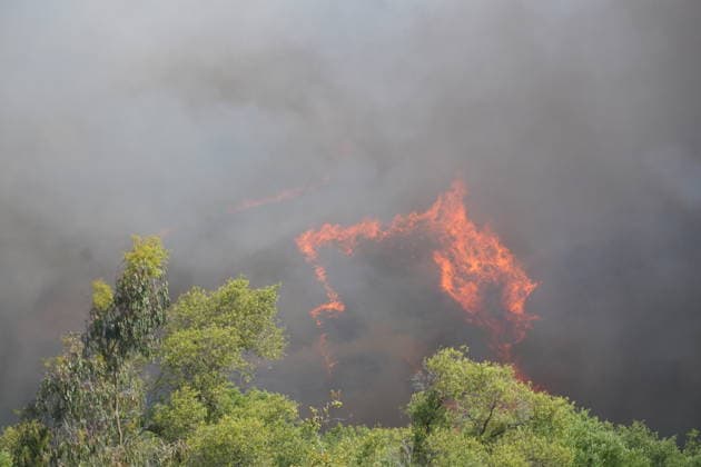 Firefighters battle fast-moving Sorrento Valley brush fire in San Diego SAN DIEGO, UNITED STATES - JUNE 08: Smoke billows over Sorrento Valley as firefighters battle the fast-moving Sorrento Fire near the Interstate 5 and Interstate 805 interchange in San Diego, California, on June 08, 2026. The brush fire ignited near the Interstate 5 and Interstate 805 interchange and rapidly expanded to more than 80 acres, prompting mandatory evacuation orders and warnings for nearby neighborhoods as crews worked to protect homes, businesses, and the Los Penasquitos Canyon Preserve. More than 140 firefighters, supported by helicopters and air resources, responded to the blaze while authorities closed portions of Sorrento Valley Boulevard and established  Copyright: x2026xAnadoluxWaixLeexMichaelxHox