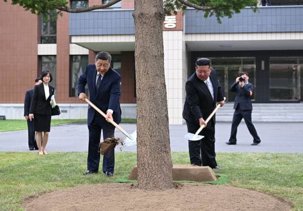 (260609) -- PYONGYANG, June 9, 2026 -- Xi Jinping, general secretary of the Communist Party of China Central Committee and Chinese president, and Kim Jong Un, general secretary of the Workers Party of Korea (WPK) and president of the State Affairs of the Democratic People s Republic of Korea (DPRK), jointly plant a fir tree in the wooded area between teaching buildings of the Central Cadres Training School of the WPK in Pyongyang, the DPRK, June 9, 2026. On Tuesday morning, Xi, accompanied by Kim, visited the Central Cadres Training School of the WPK in Pyongyang. ) DPRK-PYONGYANG-CHINA-XI JINPING-WPK-CENTRAL CADRES TRAINING SCHOOL YanxYan 