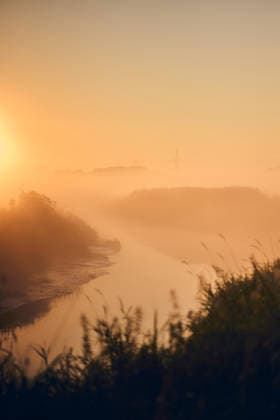 Goldener Sonnenaufgang über einer nebligen Flusslandschaft Soft morning light fills a foggy river valley with calm water, silhouetted reeds, distant trees, and gentle hills under a warm orange sky (License=RF) Copyright: xZoonar.com FlorianxKundex 25174859