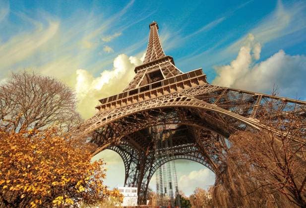 Wonderful street view of Eiffel Tower and Winter Vegetation - Paris. Copyright: xjovannigx Panthermedia70028542.jpg