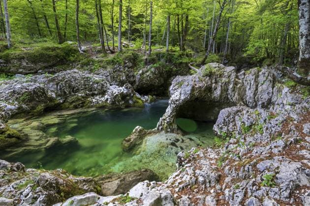 Sloncek - der Elefant, natürliche Formation, Gebirgsbach Mostnica, Mostnica Schlucht, Voje-Tal, Nationalpark Triglav, Slowenien Sloncek - the elephant, natural formation, Mostnica mountain stream, Mostnica gorge, Voje valley, Triglav National Park, Slovenia Copyright: imageBROKER SonjaxJordan ibxjor17810358.jpg