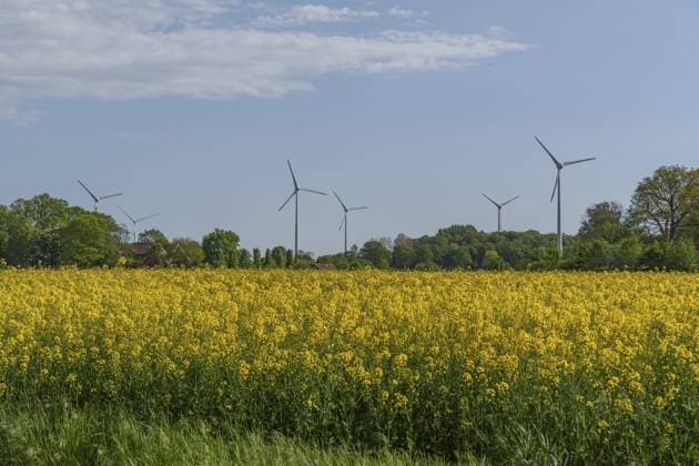 Mehrere Windräder stehen hinter einem blühenden Rapsfeld unter einem bewölkten Himmel, weseke, borken, münsterland, deutschland Several wind turbines stand behind a blooming rapeseed field under a cloudy sky, Weseke, Borken, Münsterland, Germany Copyright: imageBROKER StephanxSuehling ibxssh17562439.jpg