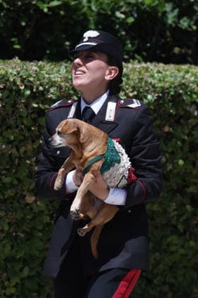 IPA85605752 - Rome, Italy June 12, 2026: The Prime Minister with Briciola, the mascot dog of the Carabinieri™s mounted unit. At Villa Pamphilj, Prime Minister Giorgia Meloni meets with the President of the Republic of Korea, Lee Jae Myung. The meeting reaffirms the strength of bilateral relations and the shared commitment to strengthening cooperation between Italy and Korea in key areas of strategic interest.  Copyright: xmarcoxiacobuccix xmarcoxiacobuccix 85605752