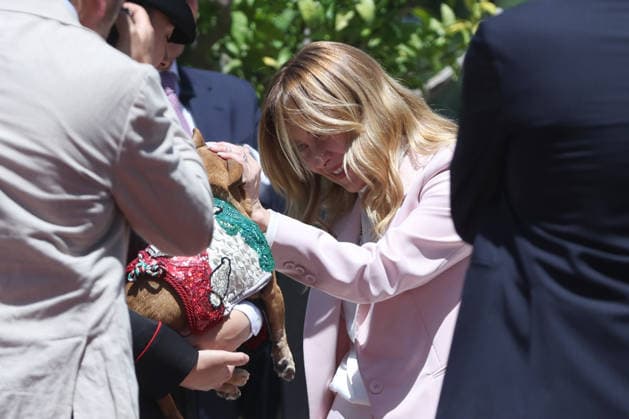 IPA85605786 - Rome, Italy June 12, 2026: The Prime Minister with Briciola, the mascot dog of the Carabinieri™s mounted unit. At Villa Pamphilj, Prime Minister Giorgia Meloni meets with the President of the Republic of Korea, Lee Jae Myung. The meeting reaffirms the strength of bilateral relations and the shared commitment to strengthening cooperation between Italy and Korea in key areas of strategic interest.  Copyright: xmarcoxiacobuccix xmarcoxiacobuccix 85605786