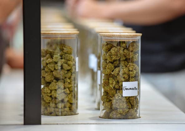 13.06.2026, xlakx, Entertainment, Mary Jane Berlin 2026 v.l. Mehrere transparente Behälter mit Cannabisblüten stehen auf einem Messestand zur Präsentation verschiedener Sorten. Die Veranstaltung präsentiert Aussteller aus den Bereichen Cannabis, Medizin, Lifestyle und Hanfprodukte. Berlin *** 13 06 2026, xlakx, Entertainment, Mary Jane Berlin 2026 v l Several transparent containers with cannabis flowers are placed on a stand to present different strains The event presents exhibitors from the cannabis, medicine, lifestyle and hemp product sectors Berlin Daniel Lakomski