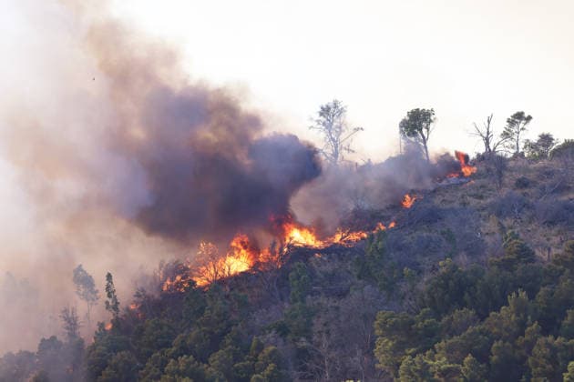Firefighters response to wildfires in two regions in southern Italy SICILY, ITALY - JUNE 13: Large fire has broken out in Montagna Grande, a town in Salemi, near Trapani in Sicily, Italy on June 13, 2026. Two Canadair aircraft and three helicopters take part in an extinguishing work. Alberto Lo Bianco Anadolu Sicily Italy. Editorial use only. Please get in touch for any other usage.  Copyright: x2026xAnadoluxAlbertoxLoxBiancox