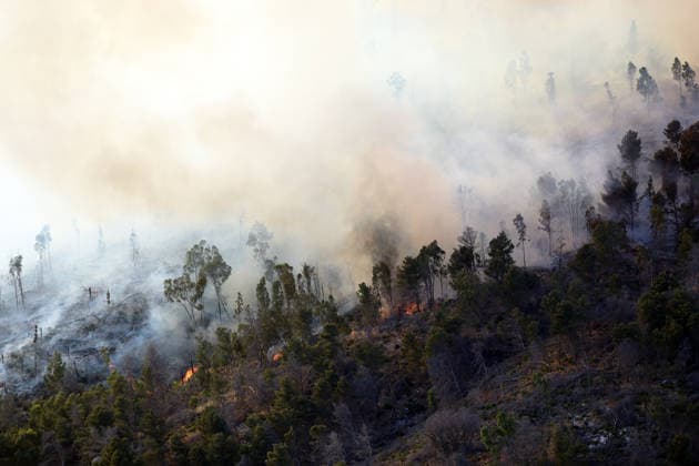 Firefighters response to wildfires in two regions in southern Italy SICILY, ITALY - JUNE 13: Large fire has broken out in Montagna Grande, a town in Salemi, near Trapani in Sicily, Italy on June 13, 2026. Two Canadair aircraft and three helicopters take part in an extinguishing work. Alberto Lo Bianco Anadolu Sicily Italy. Editorial use only. Please get in touch for any other usage.  Copyright: x2026xAnadoluxAlbertoxLoxBiancox