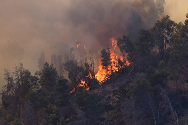 Firefighters response to wildfires in two regions in southern Italy SICILY, ITALY - JUNE 13: Large fire has broken out in Montagna Grande, a town in Salemi, near Trapani in Sicily, Italy on June 13, 2026. Two Canadair aircraft and three helicopters take part in an extinguishing work. Alberto Lo Bianco Anadolu Sicily Italy. Editorial use only. Please get in touch for any other usage.  Copyright: x2026xAnadoluxAlbertoxLoxBiancox