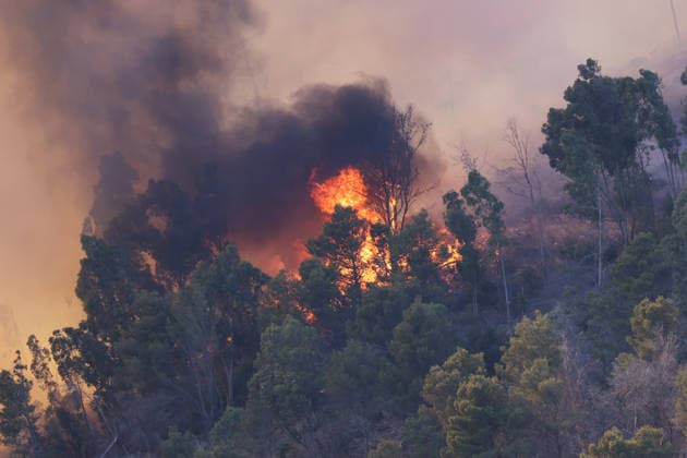 Firefighters response to wildfires in two regions in southern Italy SICILY, ITALY - JUNE 13: Large fire has broken out in Montagna Grande, a town in Salemi, near Trapani in Sicily, Italy on June 13, 2026. Two Canadair aircraft and three helicopters take part in an extinguishing work. Alberto Lo Bianco Anadolu Sicily Italy. Editorial use only. Please get in touch for any other usage.  Copyright: x2026xAnadoluxAlbertoxLoxBiancox