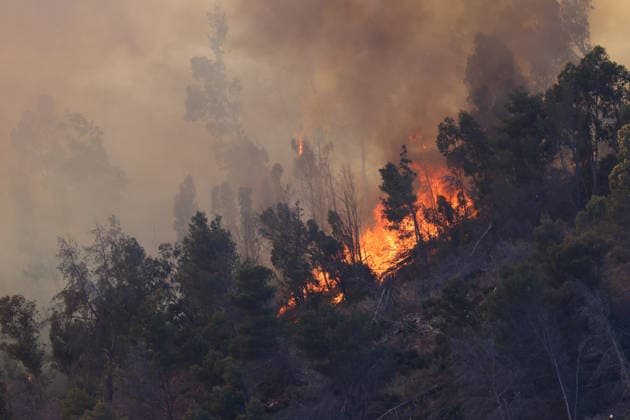 News Bilder des Tages Firefighters response to wildfires in two regions in southern Italy SICILY, ITALY - JUNE 13: Large fire has broken out in Montagna Grande, a town in Salemi, near Trapani in Sicily, Italy on June 13, 2026. Two Canadair aircraft and three helicopters take part in an extinguishing work. Alberto Lo Bianco Anadolu Sicily Italy. Editorial use only. Please get in touch for any other usage.  Copyright: x2026xAnadoluxAlbertoxLoxBiancox