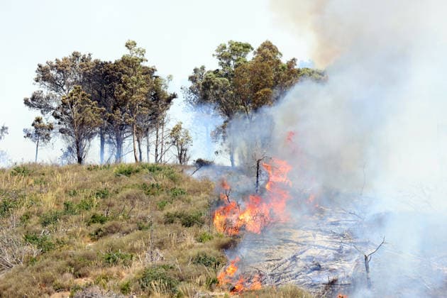 Wildfire continues to burn in Sicily s Trapani region as aerial response intensifies TRAPANI, ITALY - JUNE 14: Firefighting aircraft and helicopters operate to extinguish a wildfire that broke out in a maquis area near the Grande Montagna location in Trapani, on the west of Italy s Sicily Island, on June 14, 2026. The wildfire, which started yesterday afternoon, continues to spread despite ongoing aerial and ground efforts. Alberto Lo Bianco Anadolu Trapani Italy. Editorial use only. Please get in touch for any other usage.  Copyright: x2026xAnadoluxAlbertoxLoxBiancox
