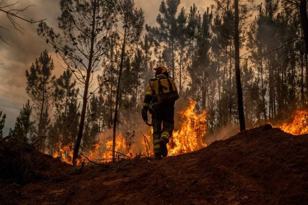Wildfire prompts Level 2 emergency in Galicia BOBORAS, SPAIN JUNE 14, 2026: An active wildfire burns near Boboras in the northwestern Spanish region of Galicia on June 14, 2026. The regional government of Galicia activated a Level 2 emergency as firefighters continued efforts to contain the blaze amid concerns over its spread. Photo by Brais Lorenzo JNA Press (Photo by Brais Lorenzo JNA Press via Nexpher Images) Boboras