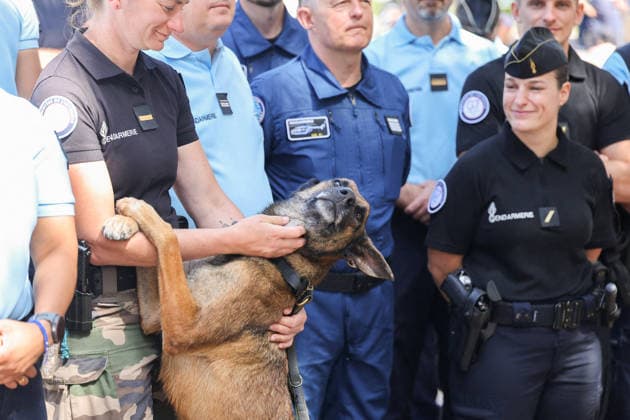 President Emmanuel Macron greets local elected officials and security forces before the start of the G7 summit in Evian on June 15, 2026 Dominique Jacovides Bestimage President Emmanuel Macron greets local elected officials and security forces before the start of the G7 summit in Evian on June 15, 2026 Evian France  Copyright: xDOMINIQUExJACOVIDESx xBESTIMAGExDOMINIQUExJACOVIDESx xBESTIMAGEx