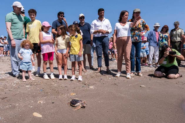 Release of several loggerhead turtles in Mojacar Almeria The acting Minister of Sustainability and Environment, Catalina Garcia 2d , attends the release of several loggerhead turtles on the Rumina beach in the town of Mojacar Almeria June 15, 2026 in Mojacar, Almeria Andalusia, Spain The 27 loggerhead sea turtles Caretta caretta that have been released today come from the nesting of a female on the beach of Piedra Villazar in Mojacar Almeria in June 2025 The 27 specimens are part of the original incubation chamber of this nesting, in which 99 eggs were found deposited, as indicated by the Junta in a note The turtles are over 1.2 kilos and are in good physical and sanitary condition for their release 15 JUNE 2026 Marian Leó Mojacar, Almeria  Copyright: xMarianxLeonx 7598897