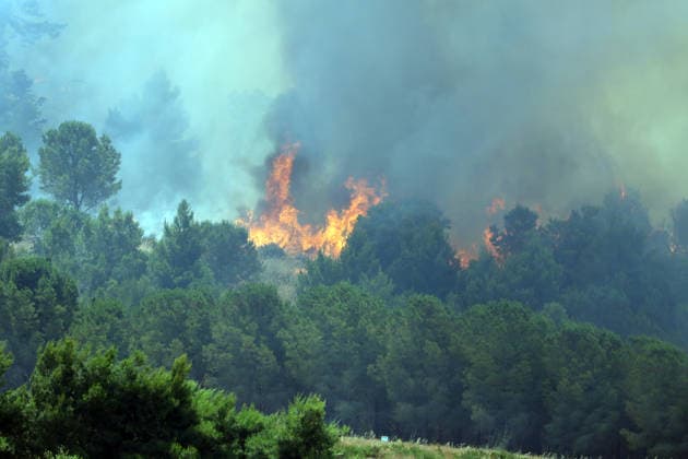 IPA85724804 - MONTAGNA GRANDE IN SALEMI, NEAR TRAPANI: FIRE HAS BEEN RAGING FOR THREE DAYS; 1,200 HECTARES OF FOREST GONE UP IN SMOKE. Pictured: the Montagna Grande forest destroyed by the flames; more than 1,200 hectares have gone up in smoke.  Copyright: xAlbertoxLoxBiancox xAlbertoxLoxBianco Fotogrammax 85724804